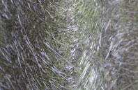 Mayeston fibreglass roof work